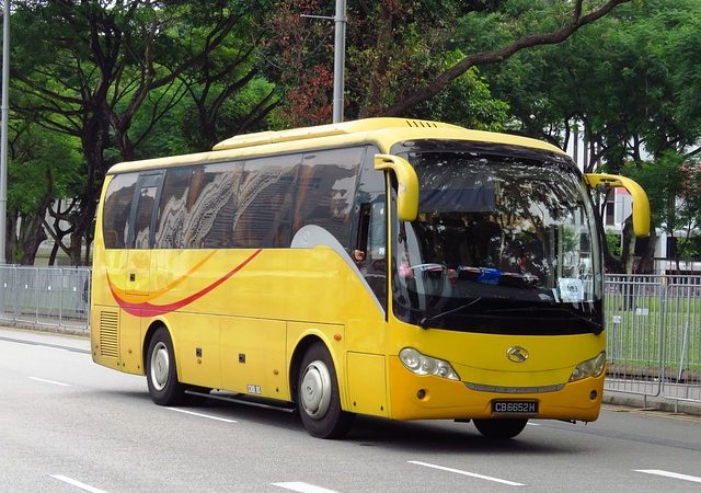 bus-autobus